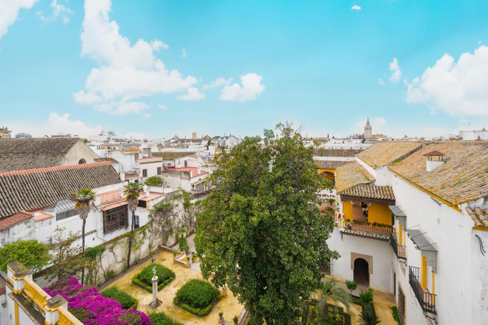 Apartment Luxurious With Jacuzzi In Casa Pilatos